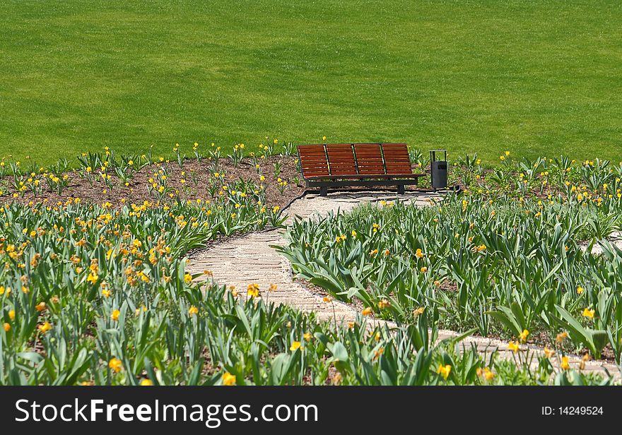 New wooden bench in a city park