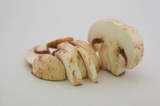 A Mushroom Closeup Photo Closeup Stock Images