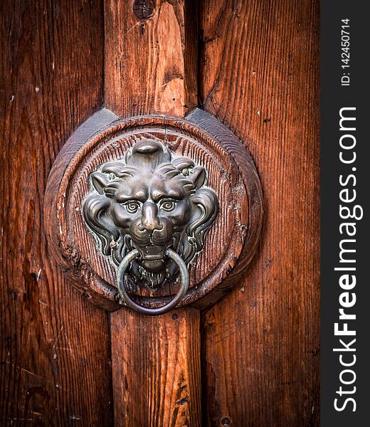 Antique door knocker shaped like a lion`s head. Antique door knocker shaped like a lion`s head