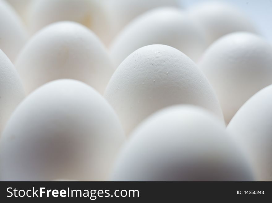 Much White Eggs