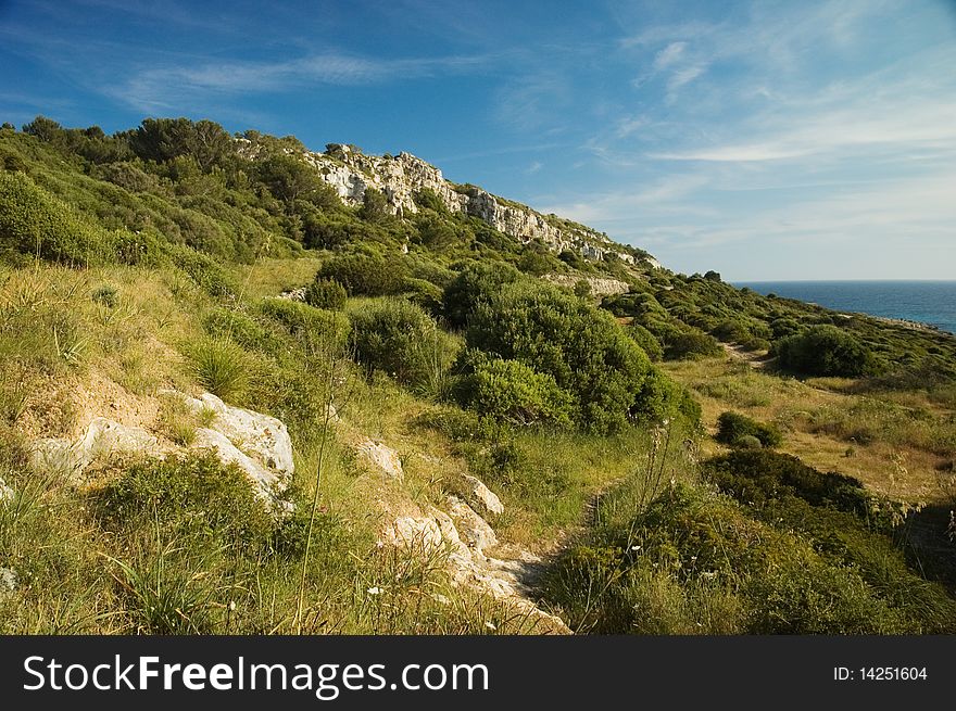 Menorcan Hillside