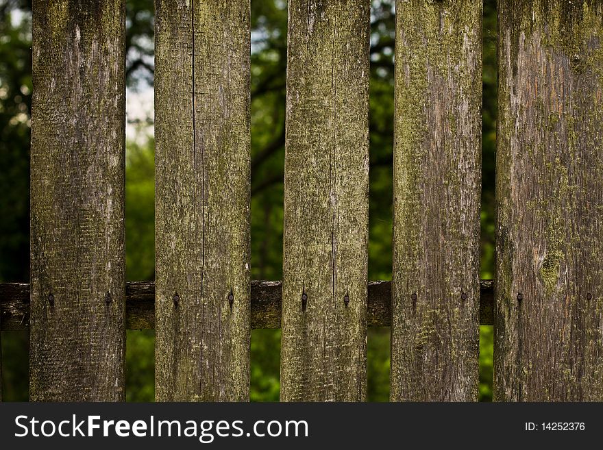 Wood fence in the garden