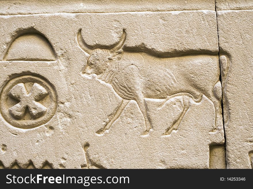 Hieroglyphics on the wall of Temple of Kom Ombo, Egypt. Hieroglyphics on the wall of Temple of Kom Ombo, Egypt