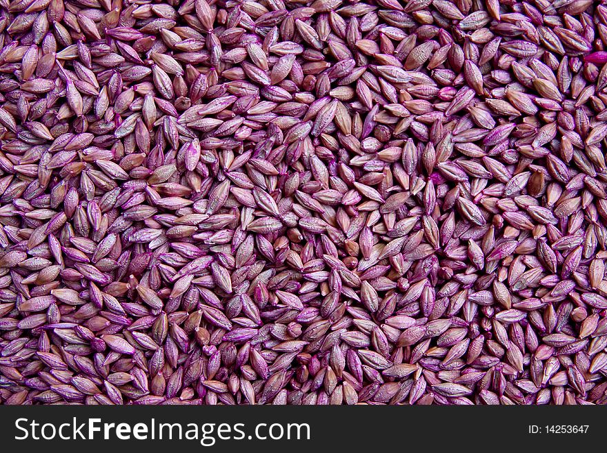 Background Of Dry  Seeds