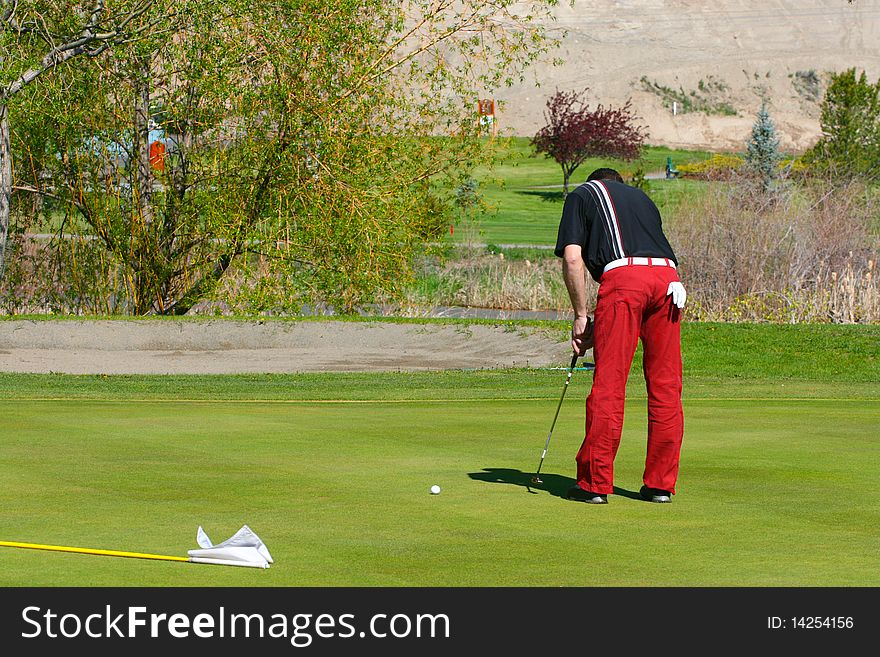 Young golfer busy putting on the green