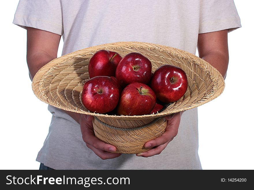The crop of apples is collected in a straw hat which is had control over by the man. The crop of apples is collected in a straw hat which is had control over by the man.