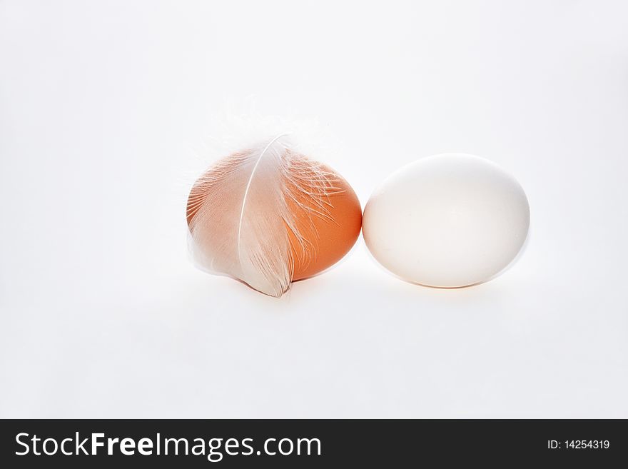 Brown and white egg with a feather pictured against white background