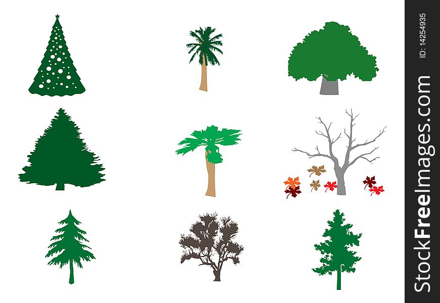 Types Of Trees Illustration