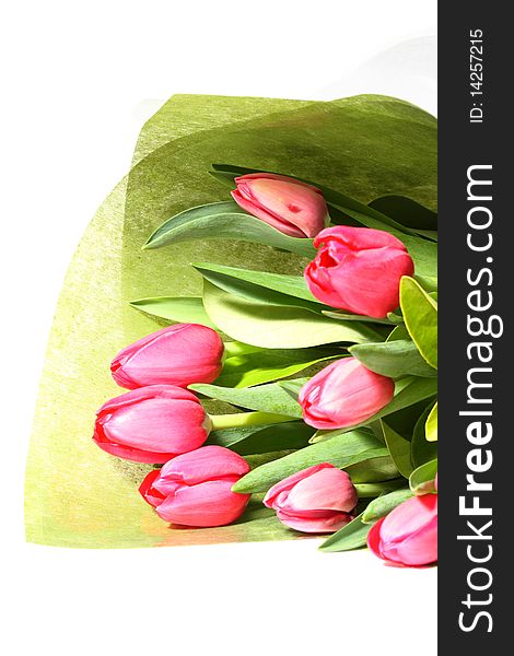 Beautiful pink tulips wrapped as a gift. Beautiful pink tulips wrapped as a gift