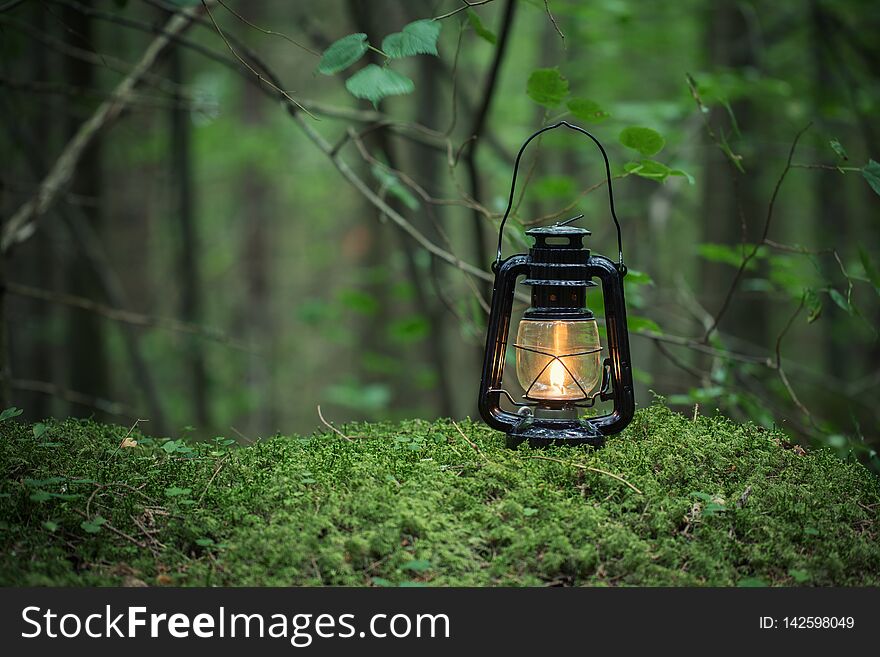 Oil lamp on the ground in nature. Beautiful forest on background. Copy space