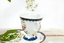 Beautiful Teacup Stock Photo