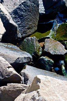 Stones And Boulders On The Beach Stock Images