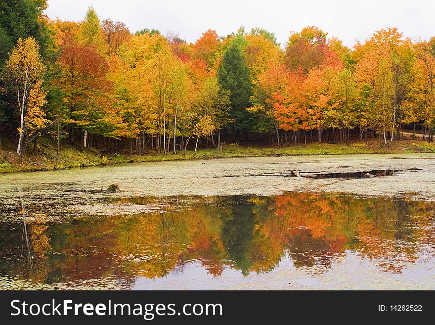 Lake With Autumn Colors