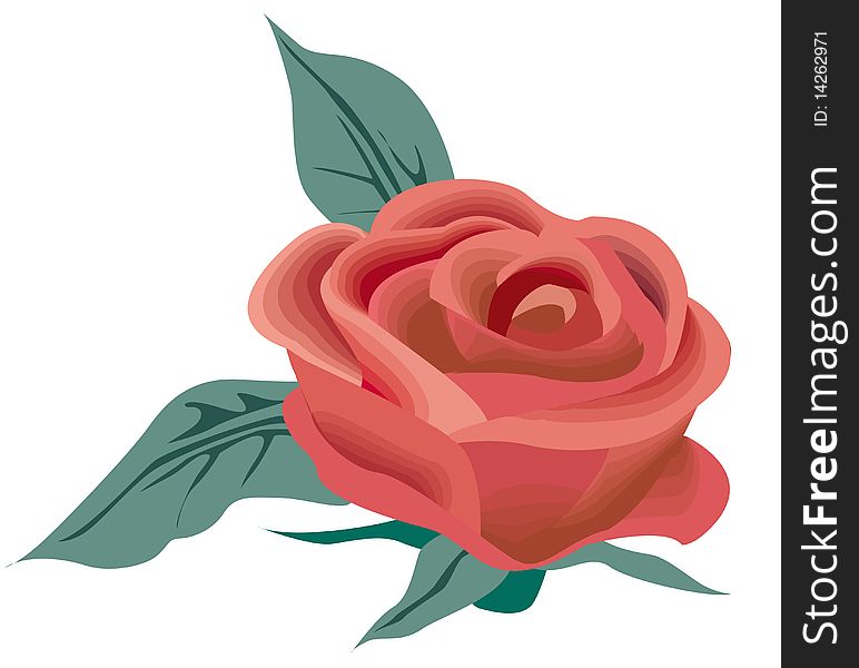 Vector Red Rose