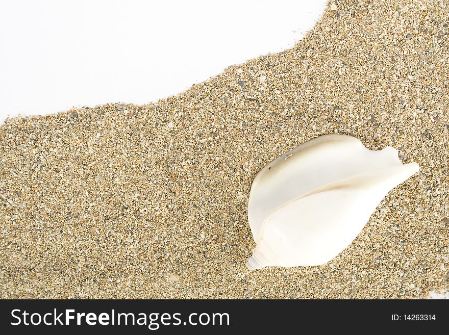 Sea sand with remnants of shells and small pebbles. Background. Shell