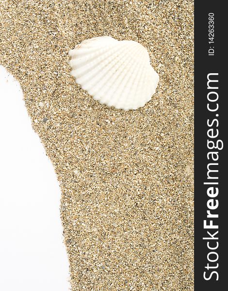 Sea sand with remnants of shells and small pebbles. Background. Shell