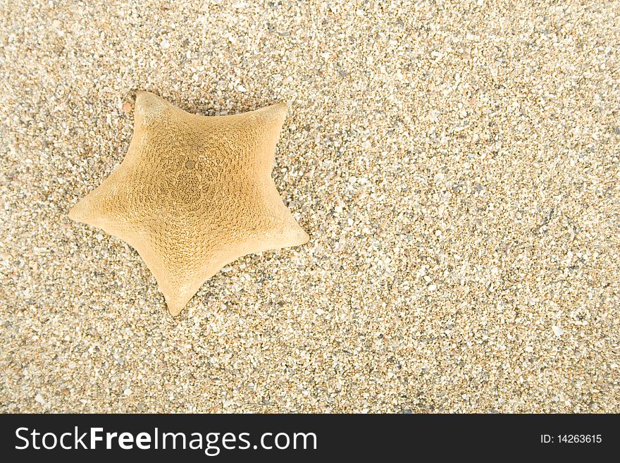 Starfish on the sand. Background. Starfish on the sand. Background