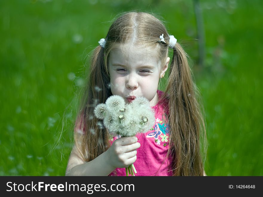 Little girl on a green meadow blowing a bouquet of dandelions. Little girl on a green meadow blowing a bouquet of dandelions