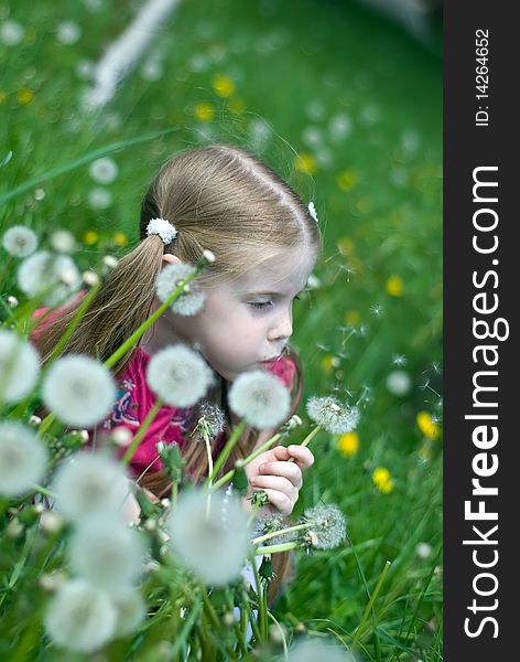 Little Girl With Dandelions