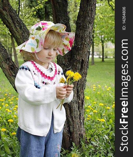 The little girl collects dandelions on a stroll in the park