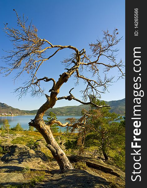 Summer sunny day in mountains, a sunny day with the blue sky, a summer landscape