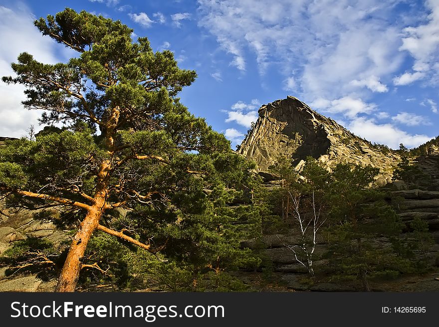 Summer Sunny Day In Mountains