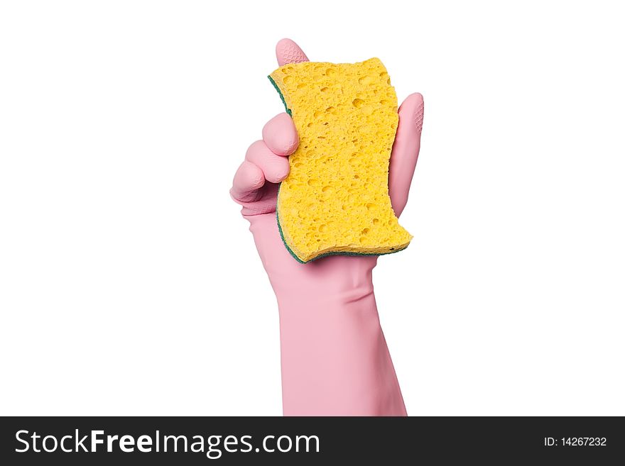 Glove holding sponge