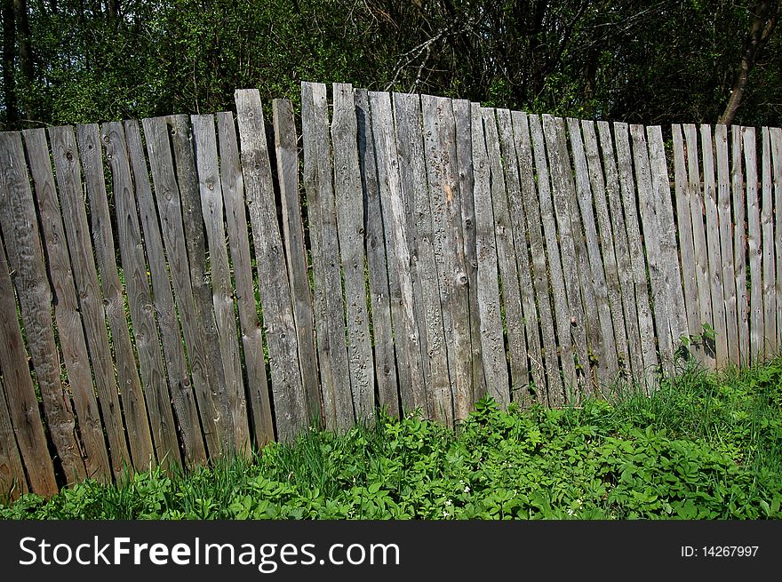 Old wooden fence in a garden
