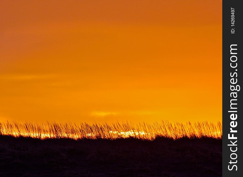 Sunrise and Sea Grass