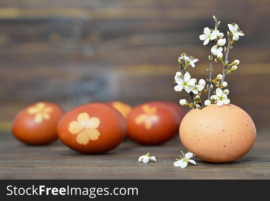 Easter decoration. Spring flowers in eggshell on wooden background