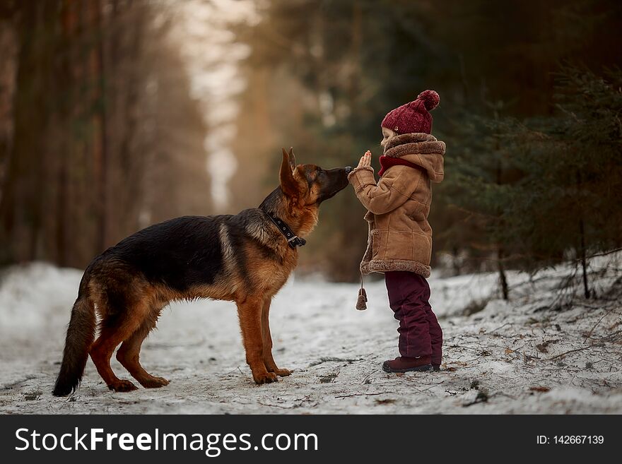 Little girl with German shepherd 6-th months puppy at early spring