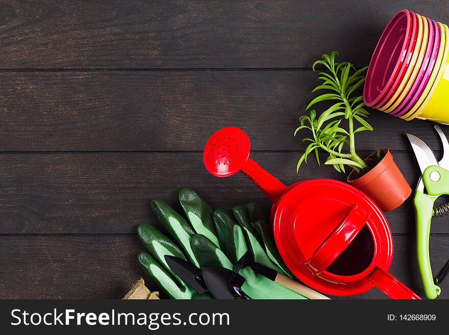 Gardening still life concept with red watering can, gloves, succulent , pruner and colorful pots on wooden background with copy space, flat lay