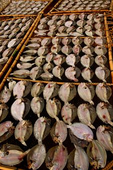 Dried Fish Royalty Free Stock Images Dried Fish Royalty Free Stock Images
