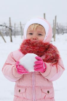 Snowball Stock Photography