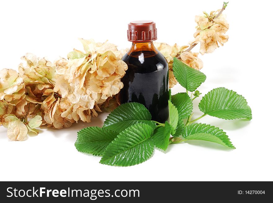 Medicinal plant with a bottle isolated on white background