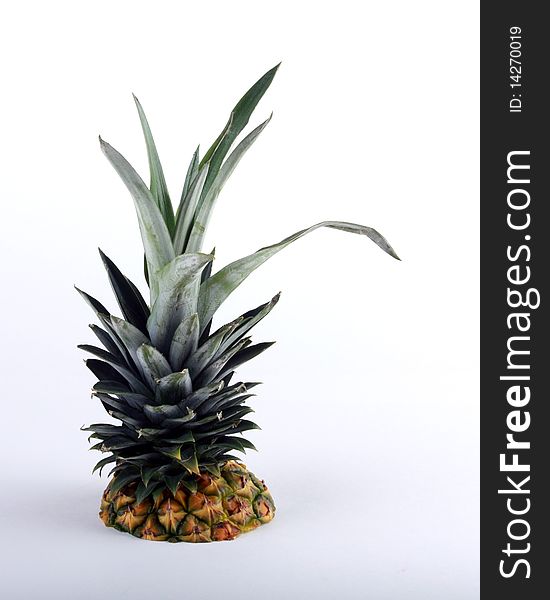 Top of a pineapple isolated. Top of a pineapple isolated