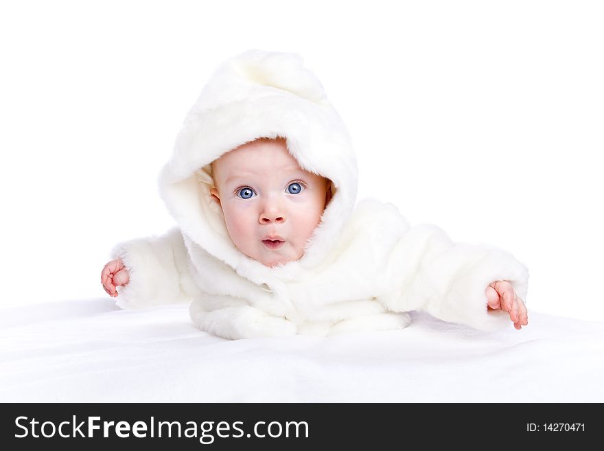 Cute little bol with a warm coat on white background