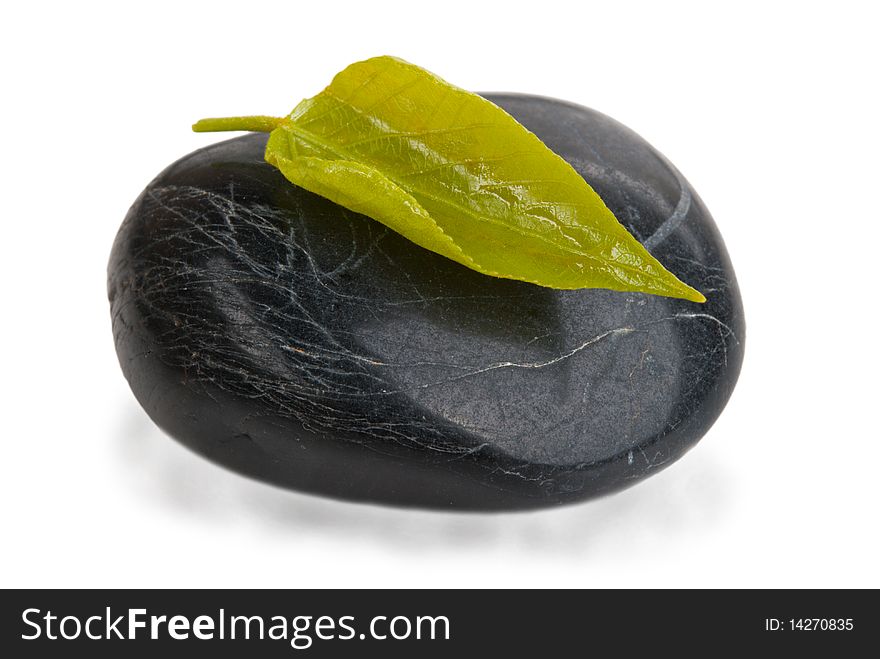 Tree leaflets lies on stone isolated in white