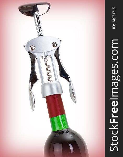 Series. A wine bottle isolated on a gradient background