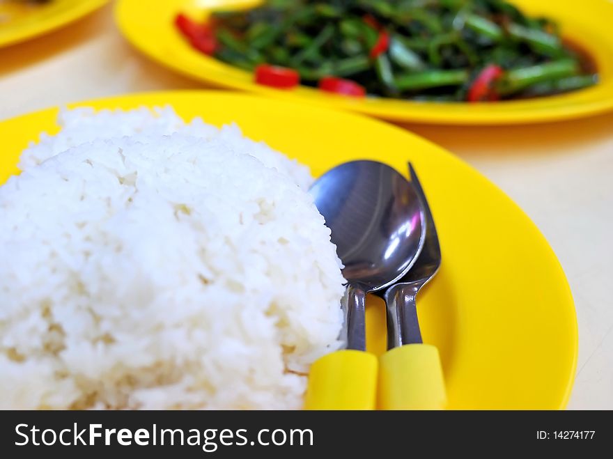 Mealtime With White Rice