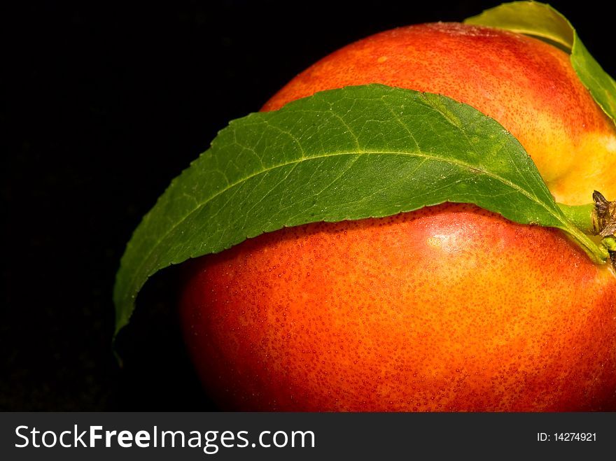 Nectarine