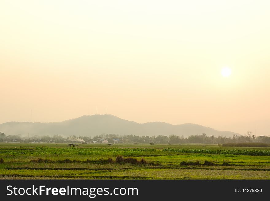 Tranquil Scene of corn field near the mountain at sunset. Tranquil Scene of corn field near the mountain at sunset.