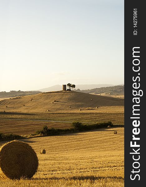 Hay Bales on a yellow field in the tuscany country at sunset