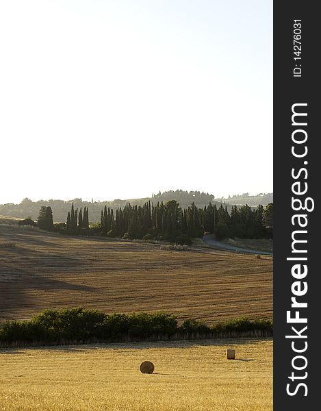 Hay Bales on a yellow field in the tuscany country at sunset