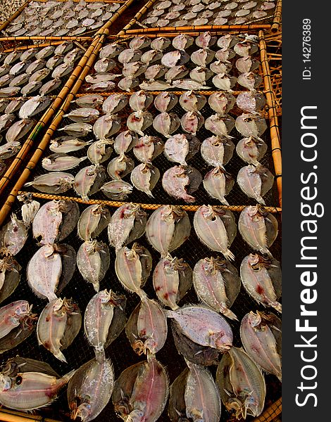 Dried fish on the net.