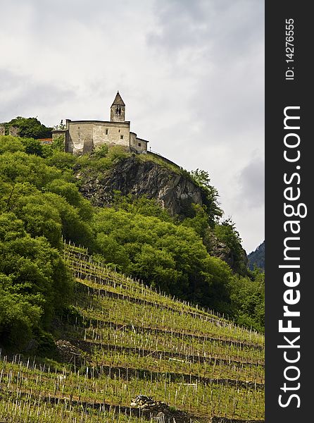 Church among woods and vineyards of the Valtellina. Church among woods and vineyards of the Valtellina