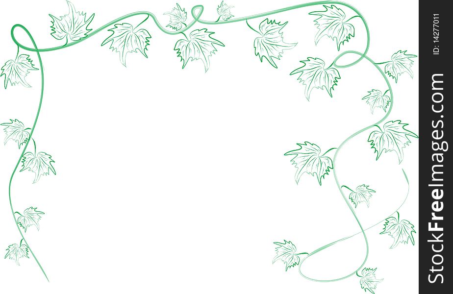 Green grape leafs ornament frame on the white background