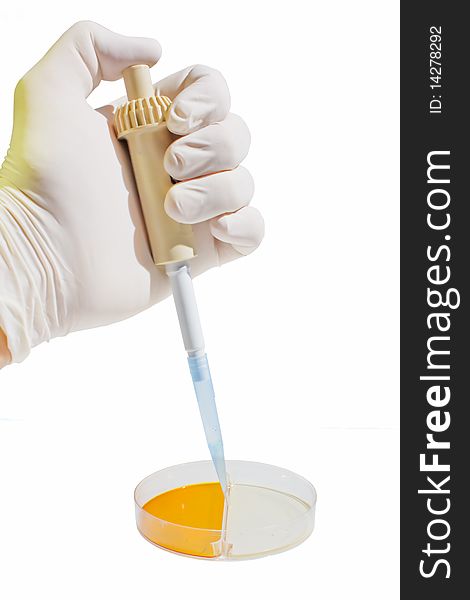 Hand holding a pipette and making sample analysis with petri dish isolated on white background. Hand holding a pipette and making sample analysis with petri dish isolated on white background