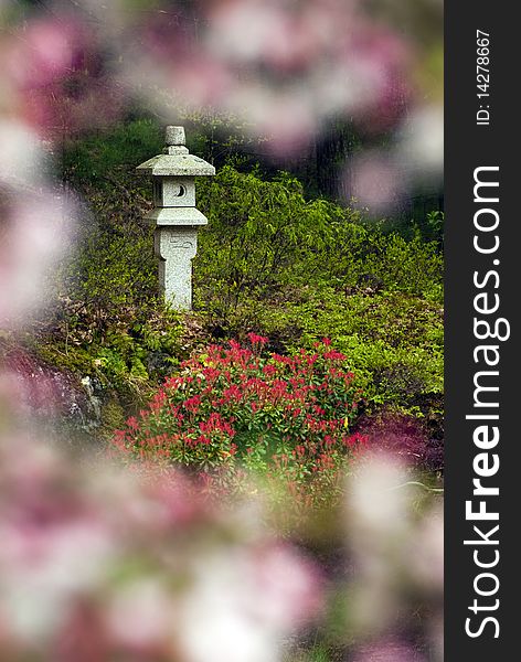 Japanese lantern on green mound shot through cherry tree flowers. Japanese lantern on green mound shot through cherry tree flowers