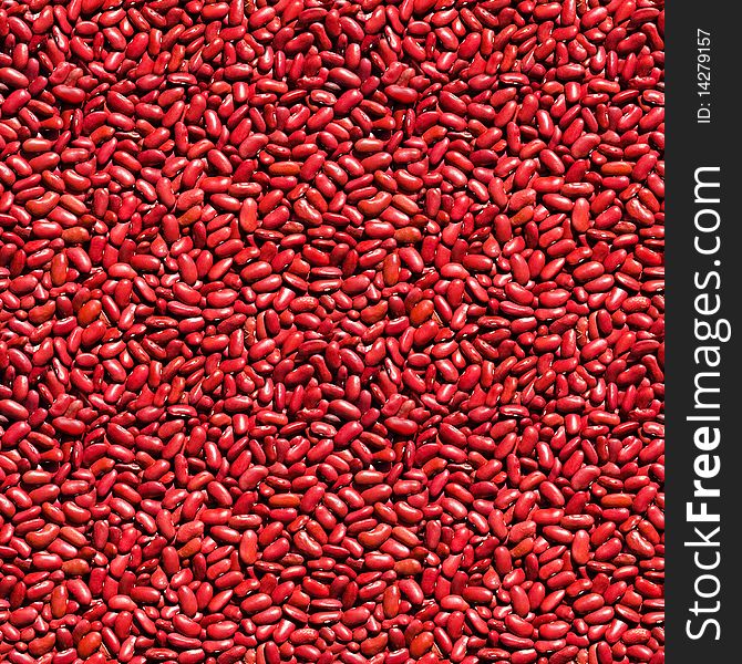 Beans Seamless Background